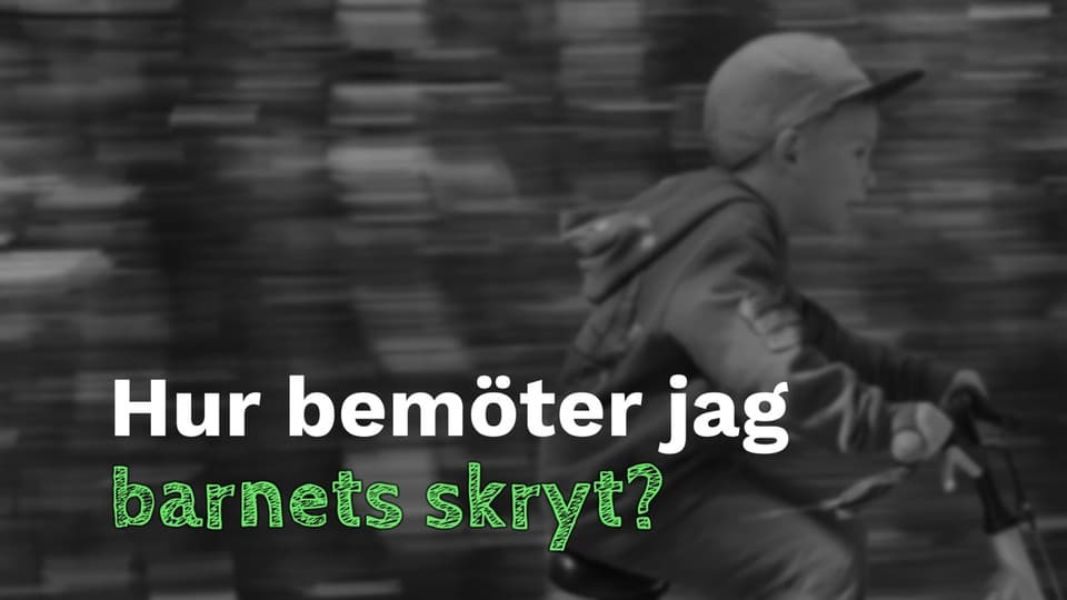 Programbild