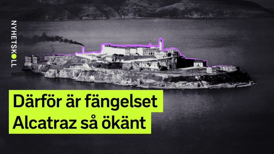 Programbild