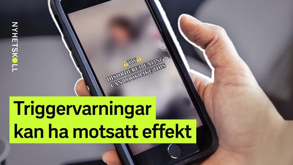 Programbild
