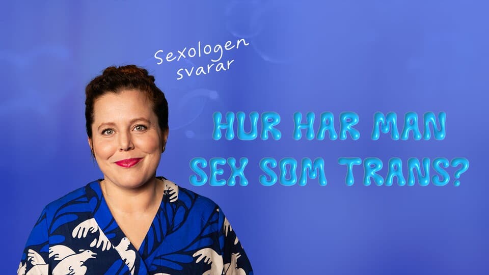 Programbild