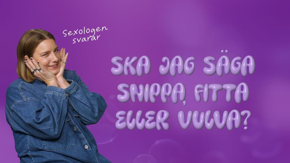 Programbild