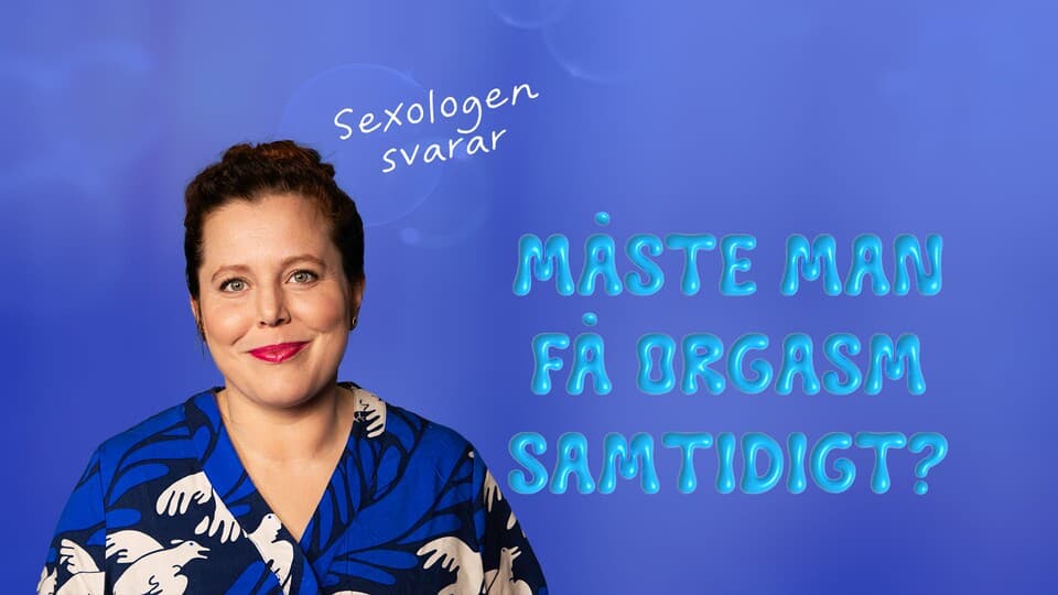 Programbild