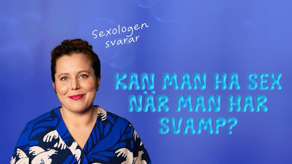 Programbild