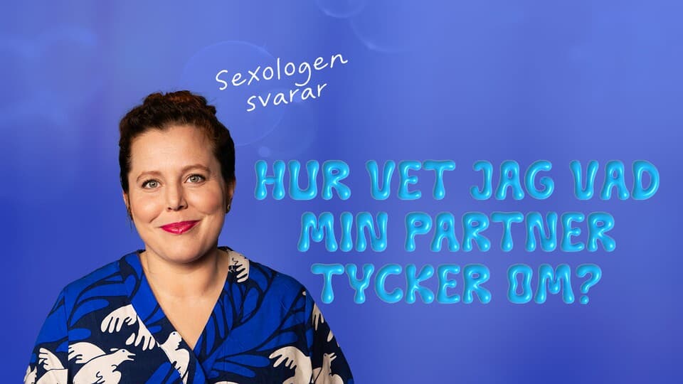 Programbild