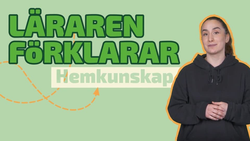 Programbild