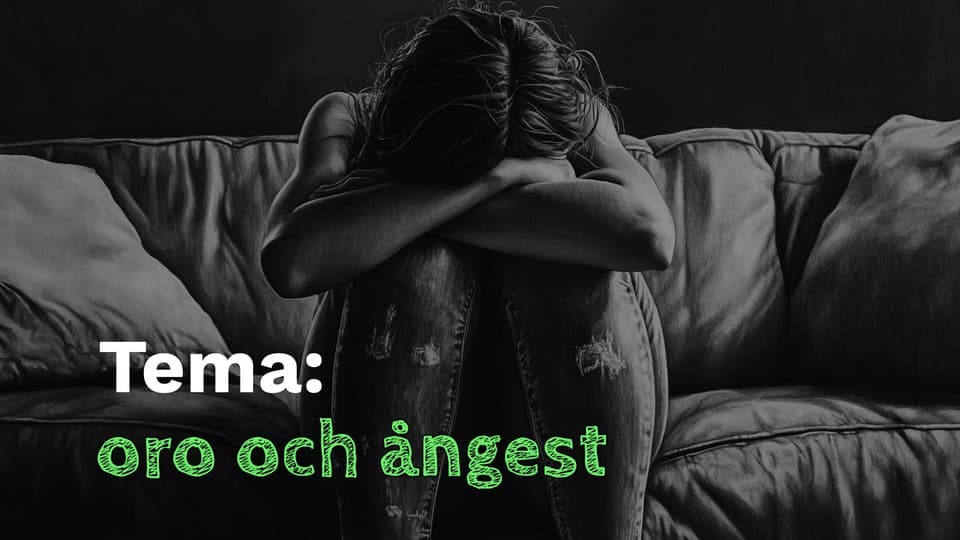 Programbild