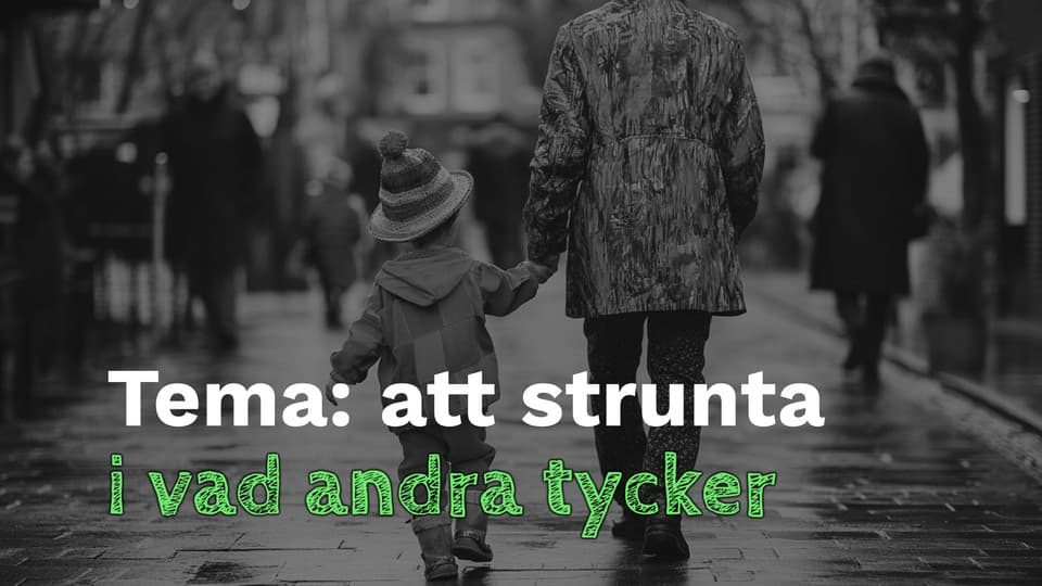 Programbild