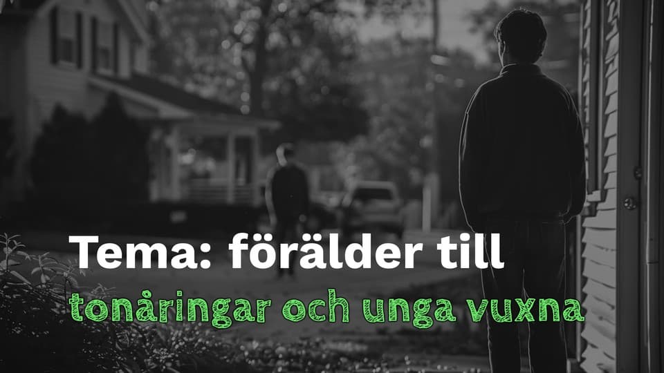 Programbild