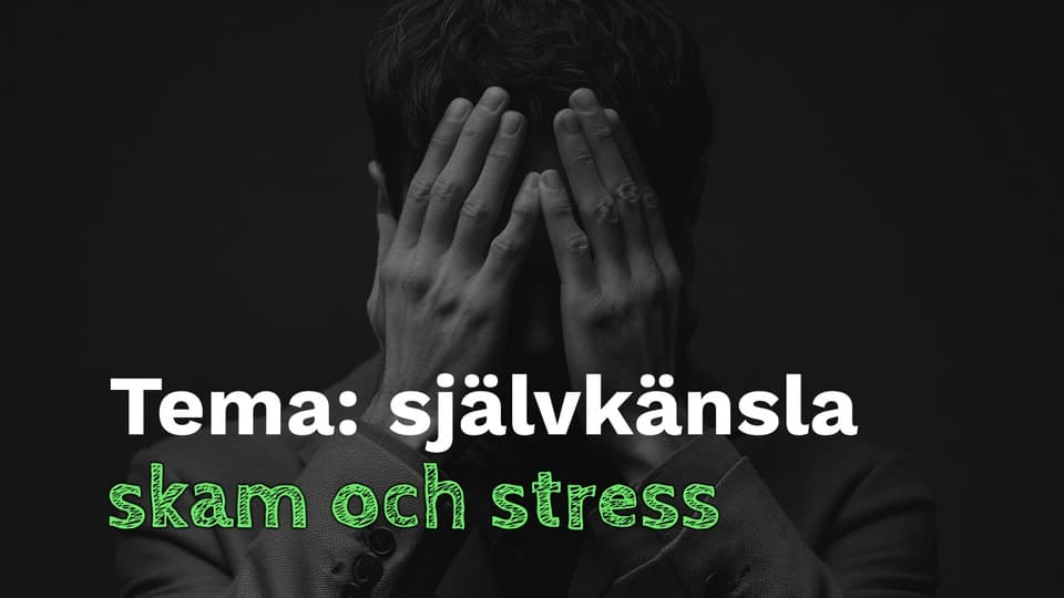 Programbild