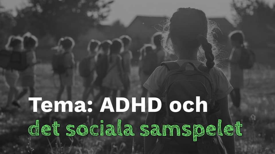 Programbild