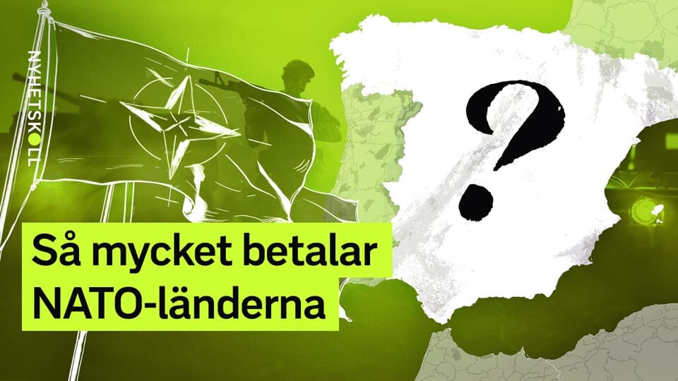 Programbild