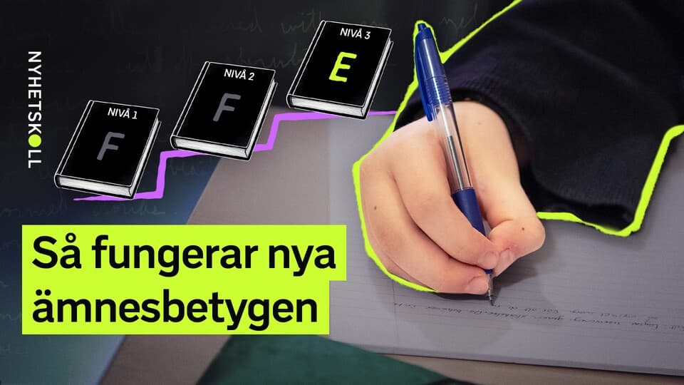 Programbild