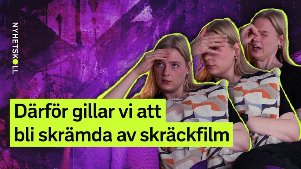 Programbild